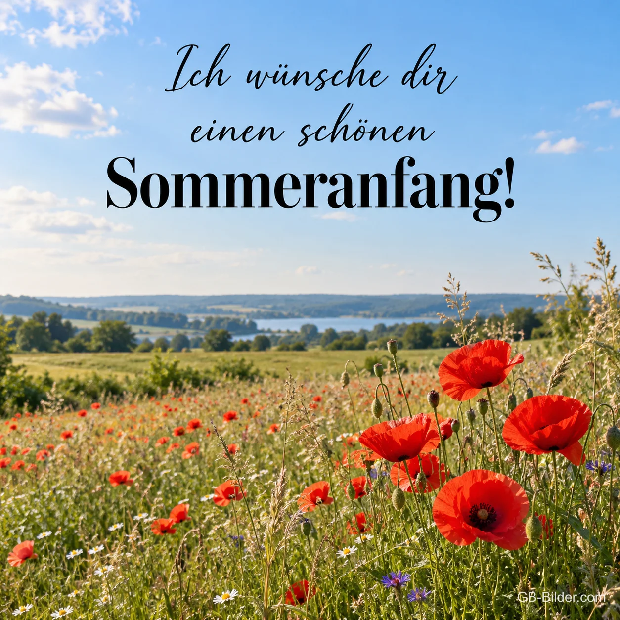 Mohnblumenwiese am See, Text: Ich wünsche dir einen schönen Sommeranfang! Mohnblumenwiese am See, Text: Ich wünsche dir einen schönen Sommeranfang!
