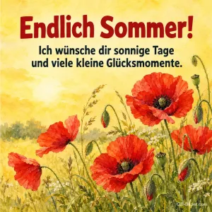 Mohnblumen auf der Wiese, Text: Endlich Sommer!