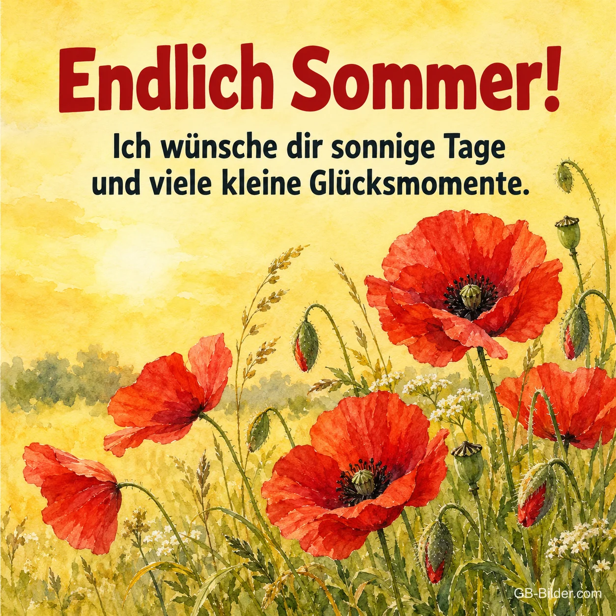 Mohnblumen auf der Wiese, Text: Endlich Sommer! Mohnblumen auf der Wiese, Text: Endlich Sommer!