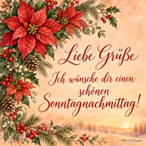 Weihnachtssterne, Zapfen und Beeren am Bildrand, Text: Liebe Grüße – Ich wünsche dir einen schönen Sonntagnachmittag!