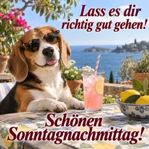 Beagle mit Sonnenbrille und Limonade auf einer Terrasse am Meer, Text: Lass es dir richtig gut gehen! – Schönen Sonntagnachmittag!