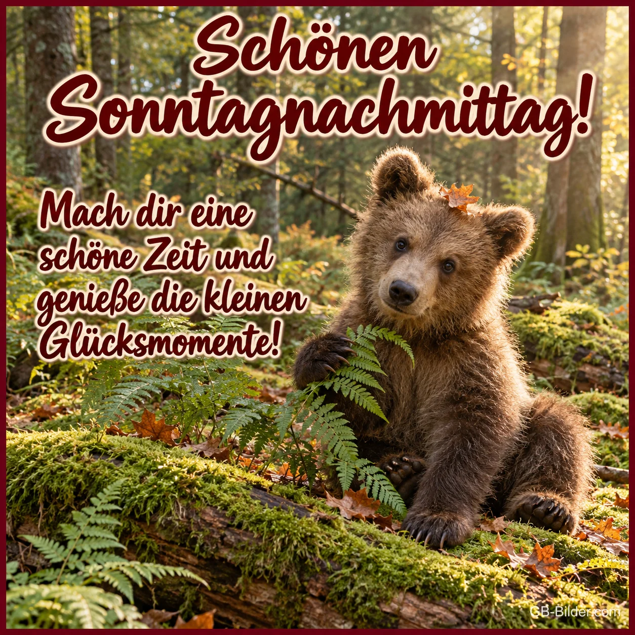 Bärenjunges sitzt mit Farn im Herbstwald, Text: Schönen Sonntagnachmittag! – Mach dir eine schöne Zeit und genieße die kleinen Glücksmomente!
