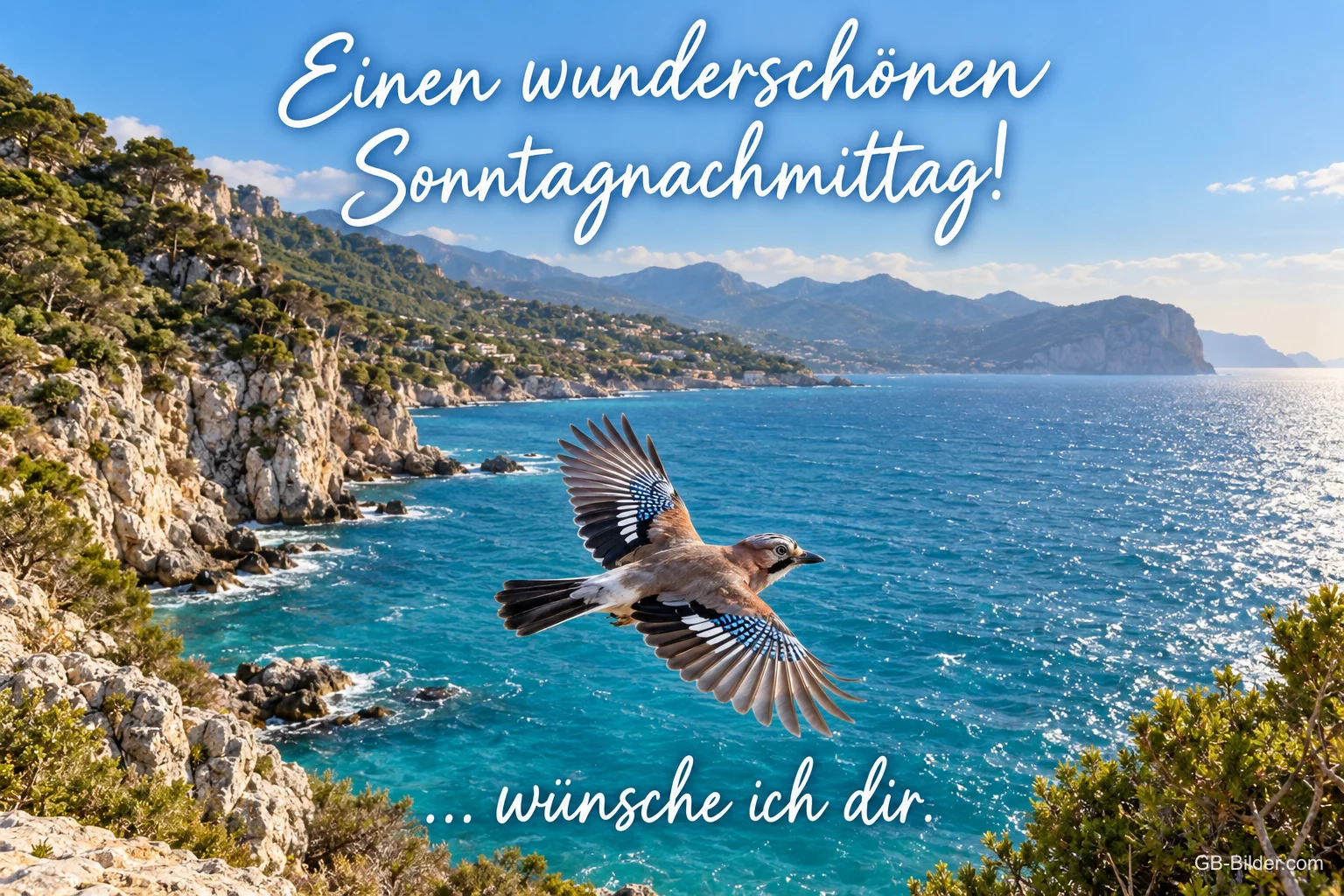 Eichelhäher fliegt über eine Felsküste am Meer, Text: Einen wunderschönen Sonntagnachmittag – … wünsche ich dir.