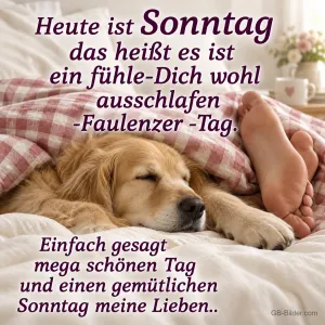 Hund schläft im Bett, Text: Heute ist Sonntag das heißt es ist ein fühle-Dich wohl ausschlafen-Fau