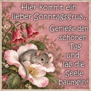 Maus in der Heckenrose, Text: Hier kommt ein lieber Sonntagsgruß