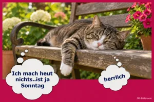 Getigerte Katze schläft auf einer Gartenbank, Text: Ich mach heut nichts..ist ja Sonntag – herrlich
