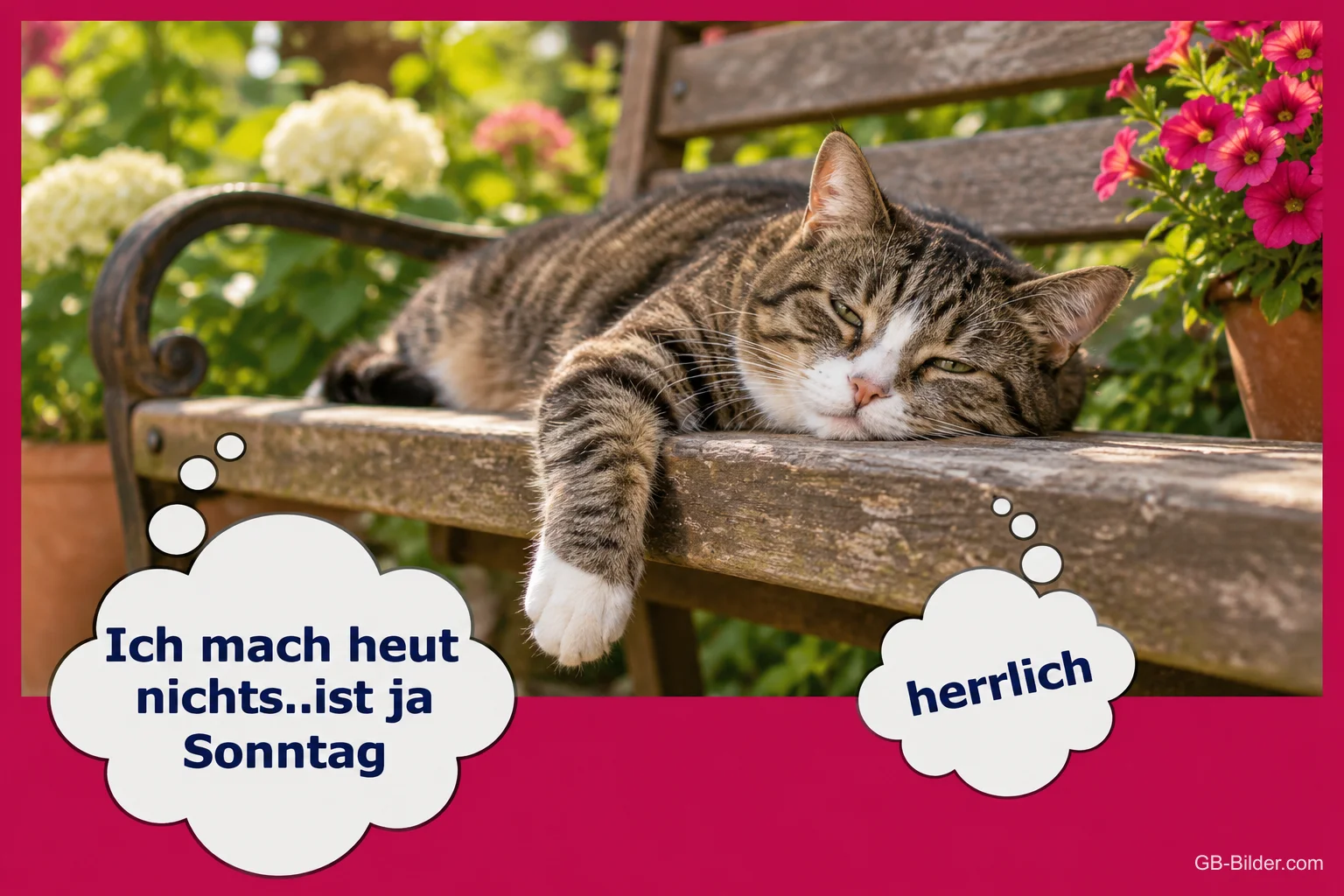 Getigerte Katze schläft auf einer Gartenbank, Text: Ich mach heut nichts..ist ja Sonntag – herrlich