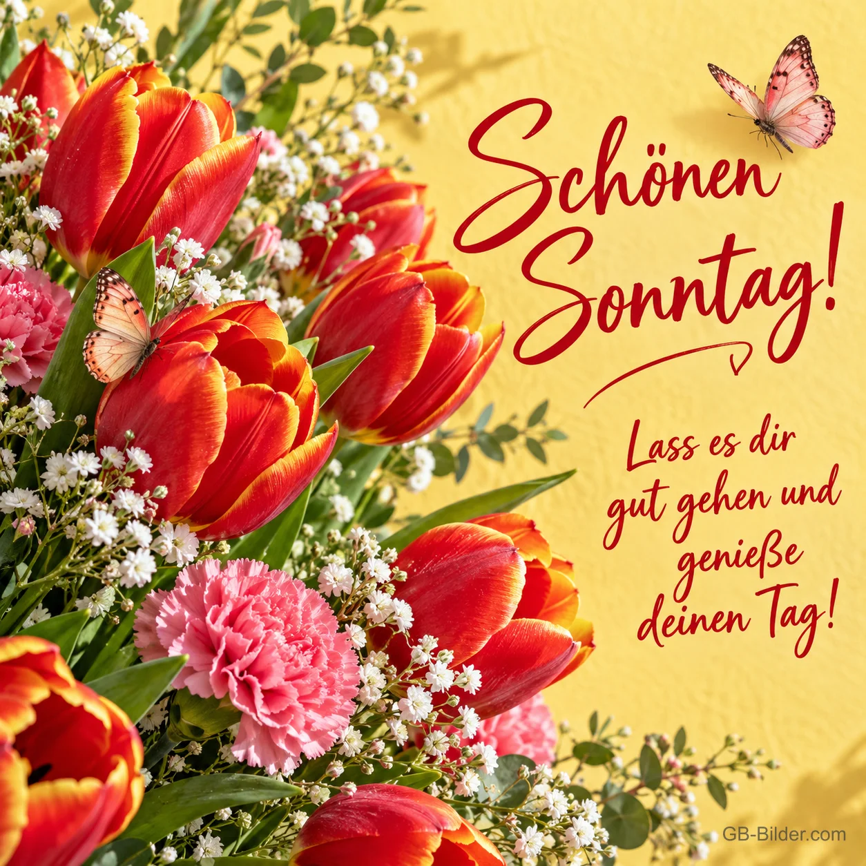 Rote Tulpen und rosa Nelken mit Schmetterlingen, Text: Schönen Sonntag! Lass es dir gut gehen und genieße deinen Tag! Rote Tulpen und rosa Nelken mit Schmetterlingen, Text: Schönen Sonntag! Lass es dir gut gehen und genieße deinen Tag!