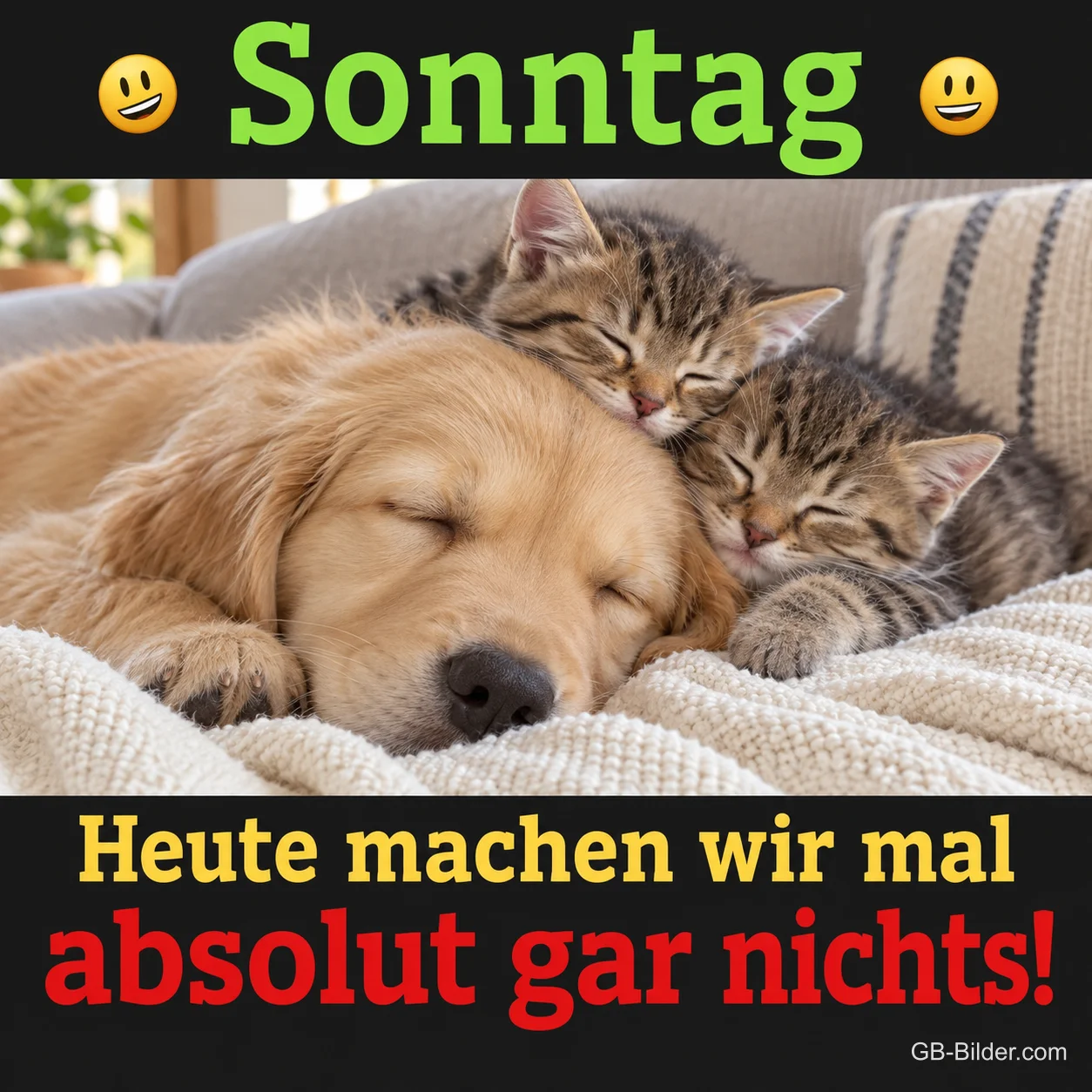 Golden-Retriever-Welpe schläft mit zwei Kätzchen, Text: Sonntag – Heute machen wir mal absolut gar nichts!