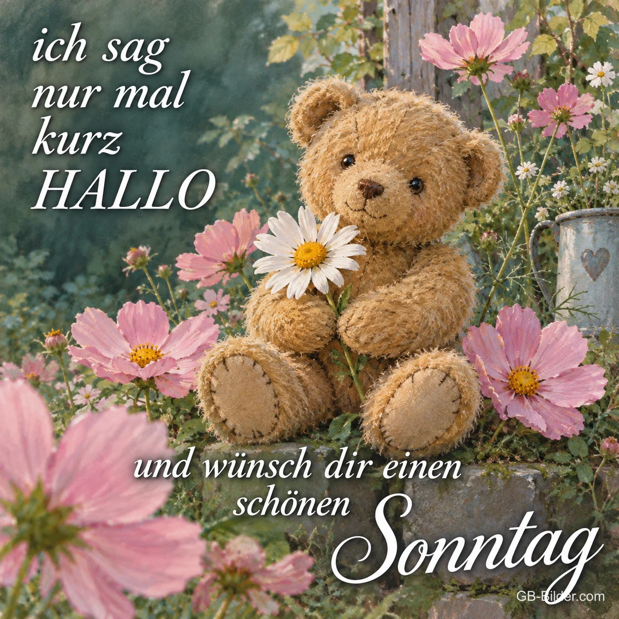 Teddybär mit Margerite, Text: ich sag nur mal kurz HALLO und wünsch dir einen schönen Sonntag