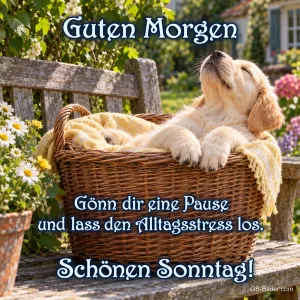 Golden-Retriever-Welpe lehnt sich entspannt in einem Weidenkorb zurück, Text: Guten Morgen – Gönn dir eine Pause und lass den Alltagsstress los. Schönen Sonntag!