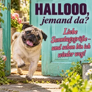 Fröhlicher Mops läuft aus einer offenen Gartentür, Text: HALLOOO, jemand da? Liebe Sonntagsgrüße – und schon bin ich wieder weg!