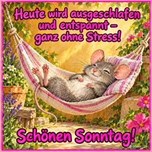 Maus liegt zufrieden in einer Hängematte im Garten, Text: Heute wird ausgeschlafen und entspannt – ganz ohne Stress! Schönen Sonntag!