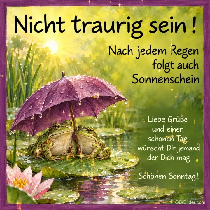 Frosch unter einem Regenschirm, Text: Nicht traurig sein