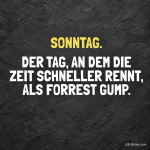 Weißer und gelber Spruch auf dunkler Schieferfläche, Text: SONNTAG. Der Tag, an dem die Zeit schneller rennt, als Forrest Gump.