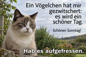 Grimmige Katze, lustiger Spruch, Text: Ein Vögelchen hat mir gezwitschert: es wird ein schöner Tag