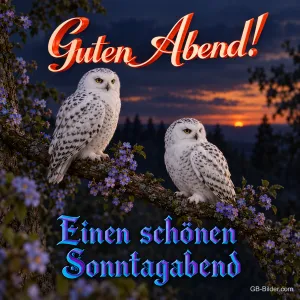 Schneeeulen in der Abenddämmerung, Text: Guten Abend