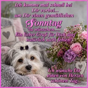 Hund mit Schleife, Text: Ich komme mal schnell bei Dir vorbei
