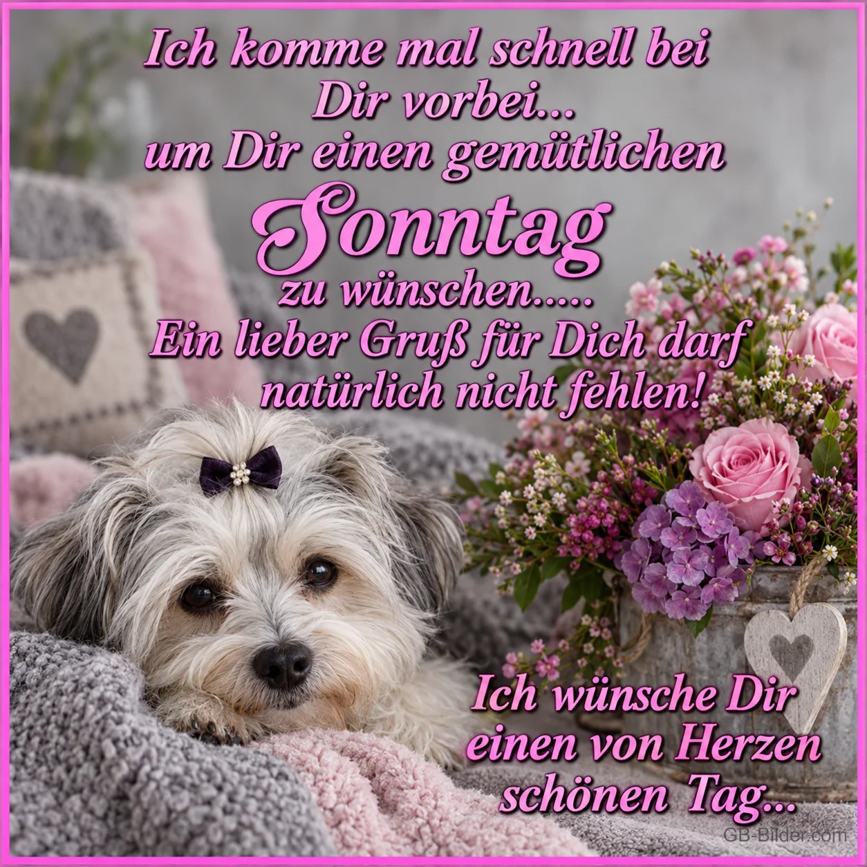 Hund mit Schleife, Text: Ich komme mal schnell bei Dir vorbei