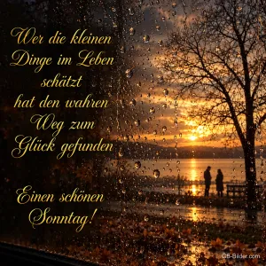 Regentropfen auf einer Scheibe, dahinter ein Paar am See im Abendrot, Text: Wer die kleinen Dinge im Leben schätzt, hat den wahren Weg zum Glück gefunden. Einen schönen Sonntag!