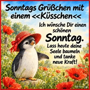 Pinguin mit rotem Hut, Text: Sonntags Grüßchen mit einem Küsschen