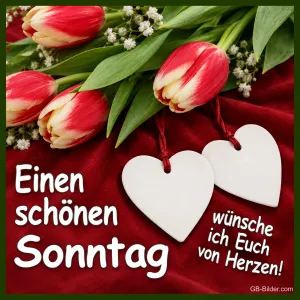 Rot-weiße Tulpen und zwei Holzherzen auf rotem Stoff, Text: Einen schönen Sonntag wünsche ich Euch von Herzen!