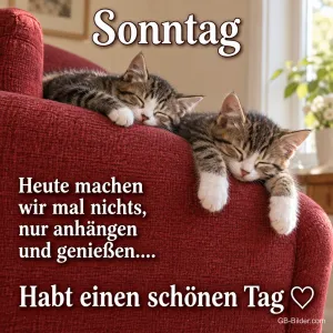 Schlafende Kätzchen, Text: Sonntag