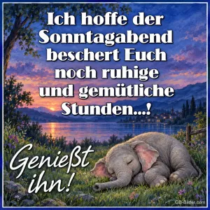 Schlafendes Elefantenbaby, Text: Ich hoffe der Sonntagabend beschert Euch noch ruhige und gemütliche St