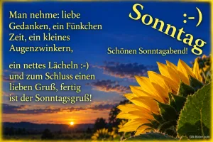 Sonnenblume im Sonnenuntergang, Text: Sonntag :-) Man nehme: liebe Gedanken, ein Fünkchen Zeit, ein kleines 