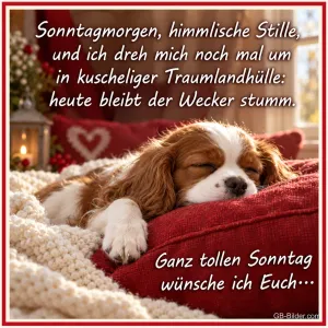 Schlafender Welpe auf Kissen, Text: Sonntagmorgen, himmlische Stille, und ich dreh mich noch mal um in kus