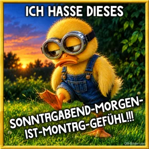 Entenküken mit Fliegerbrille und Latzhose stapft mürrisch über die Wiese, Text: ICH HASSE DIESES SONNTAGABEND-MORGEN-IST-MONTAG-GEFÜHL!!!