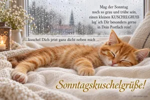 Schlafende Katze am Regenfenster, Text: Mag der Sonntag noch so grau und trübe sein, einen kleinen KUSCHELGRUS