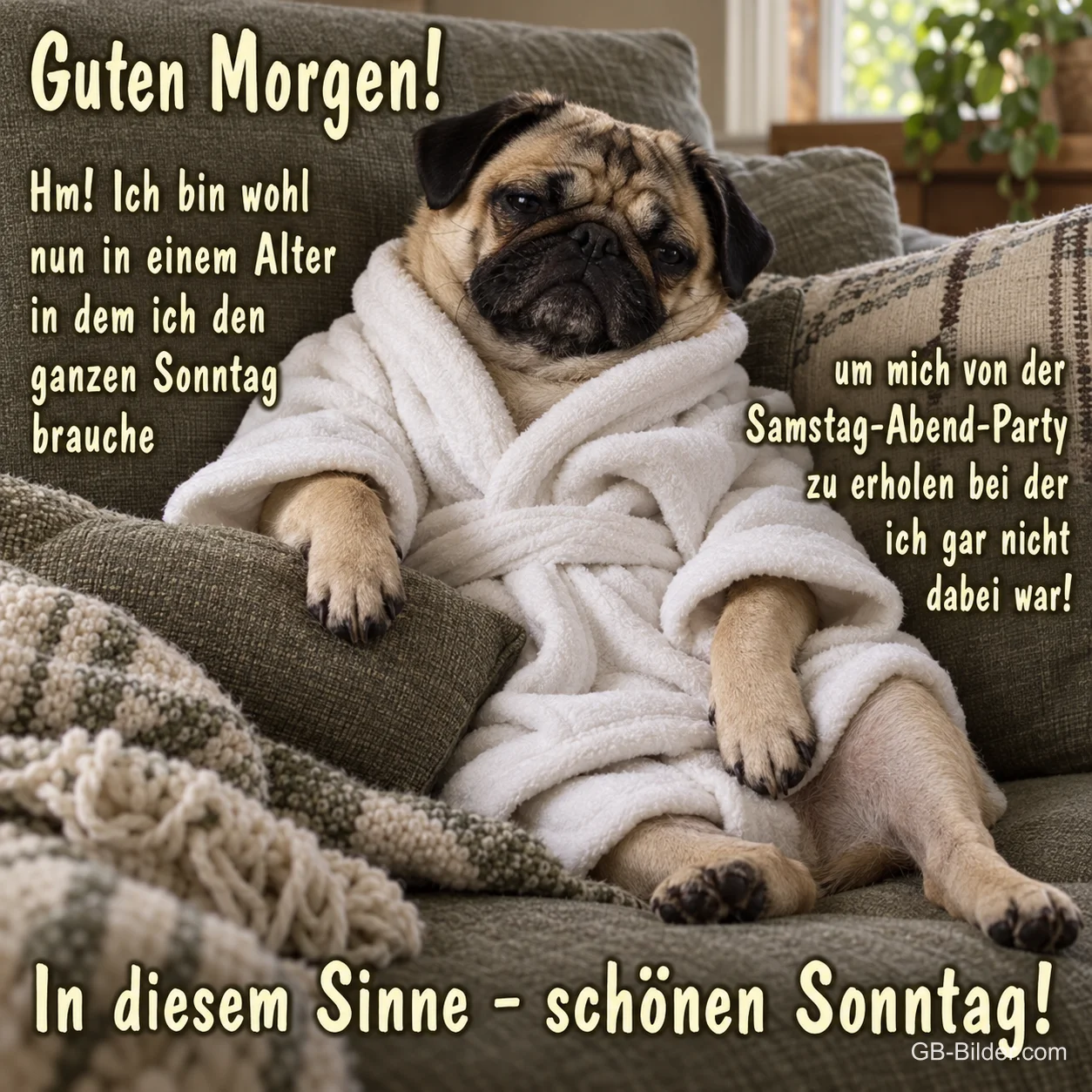 Mops im Bademantel, lustiger Spruch, Text: Guten Morgen Mops im Bademantel, lustiger Spruch, Text: Guten Morgen