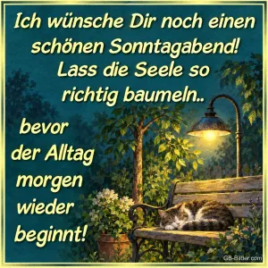 Schlafende Katze unter der Laterne, Text: Ich wünsche Dir noch einen schönen Sonntagabend