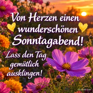 Pinke Schmuckkörbchen in einer Blumenwiese bei Sonnenuntergang, Text: Von Herzen einen wunderschönen Sonntagabend! – Lass den Tag gemütlich ausklingen!