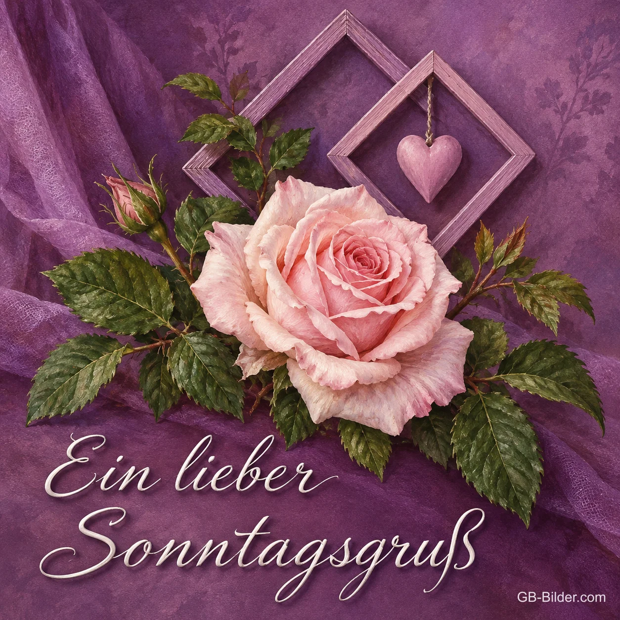 Rosa Rose vor violettem Stoff mit Rahmen und Herz, Text: Ein lieber Sonntagsgruß