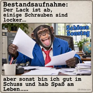 Lachender Schimpanse im Anzug wirft Papiere am Schreibtisch, Text: Bestandsaufnahme: Der Lack ist ab, einige Schrauben sind locker… aber sonst bin ich gut im Schuss und hab Spaß am Leben…… Schönen Sonntag
