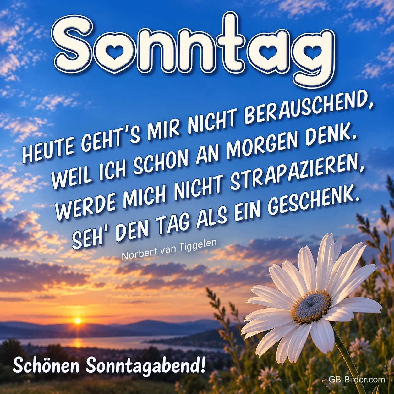 Margerite vor einem See im Sonnenuntergang, Text: Sonntag – Heute geht’s mir nicht berauschend, weil ich schon an Morgen denk. Werde mich nicht strapazieren, seh’ den Tag als ein Geschenk. Schönen Sonntagabend! – Norbert van Tiggelen