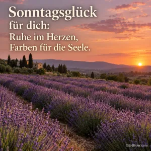 Lavendelfeld im Sonnenuntergang, Text: Sonntagsglück für dich