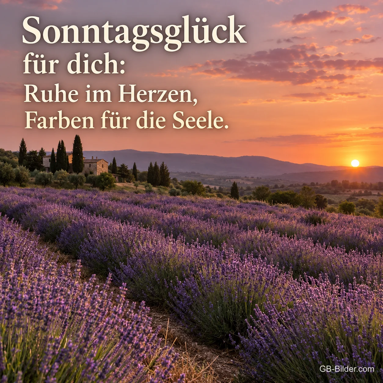 Lavendelfeld im Sonnenuntergang, Text: Sonntagsglück für dich