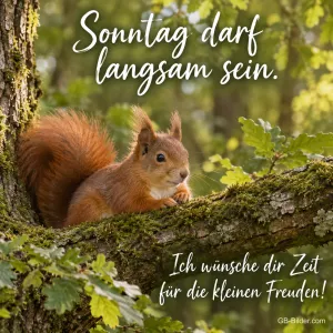 Eichhörnchen auf dem Ast, Text: Sonntag darf langsam sein