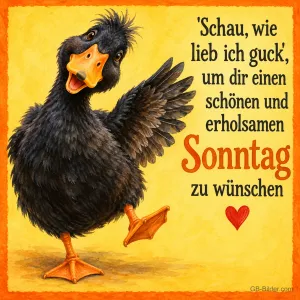 Schwarze Ente winkt mit dem Flügel und tanzt, Text: "Schau, wie lieb ich guck", um dir einen schönen und erholsamen Sonntag zu wünschen