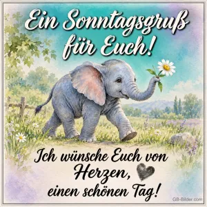 Kleiner Elefant mit Margerite auf einer Wiese, Text: Ein Sonntagsgruß für euch! Ich wünsche euch von Herzen einen schönen Tag!