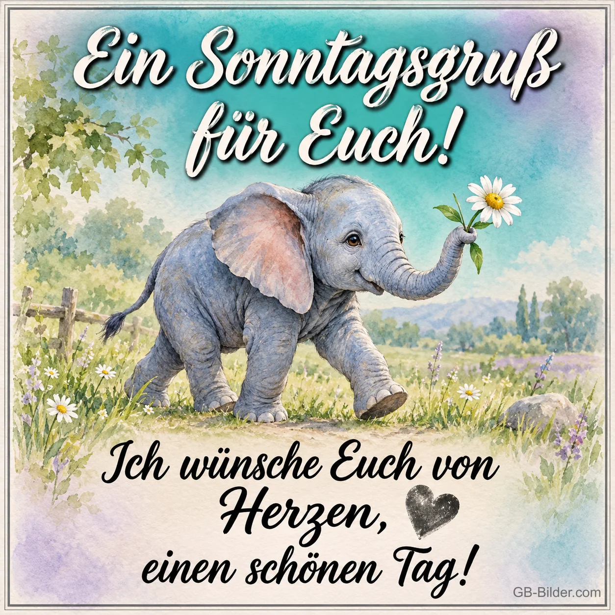 Kleiner Elefant mit Margerite auf einer Wiese, Text: Ein Sonntagsgruß für euch! Ich wünsche euch von Herzen einen schönen Tag!