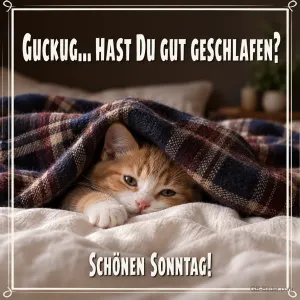 Kätzchen schaut unter einer Decke hervor, Text: Hast du gut geschlafen? Schönen Sonntag!