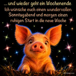 Ferkel schaut zwischen funkelnden Sternen hervor, Text: … und wieder geht ein Wochenende. Ich wünsche euch einen wundervollen Sonntagabend und morgen einen ruhigen Start in die neue Woche