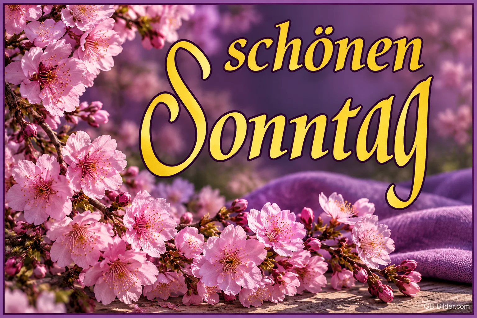 Rosa Kirschblüten auf lila Tuch, Text: Schönen Sonntag