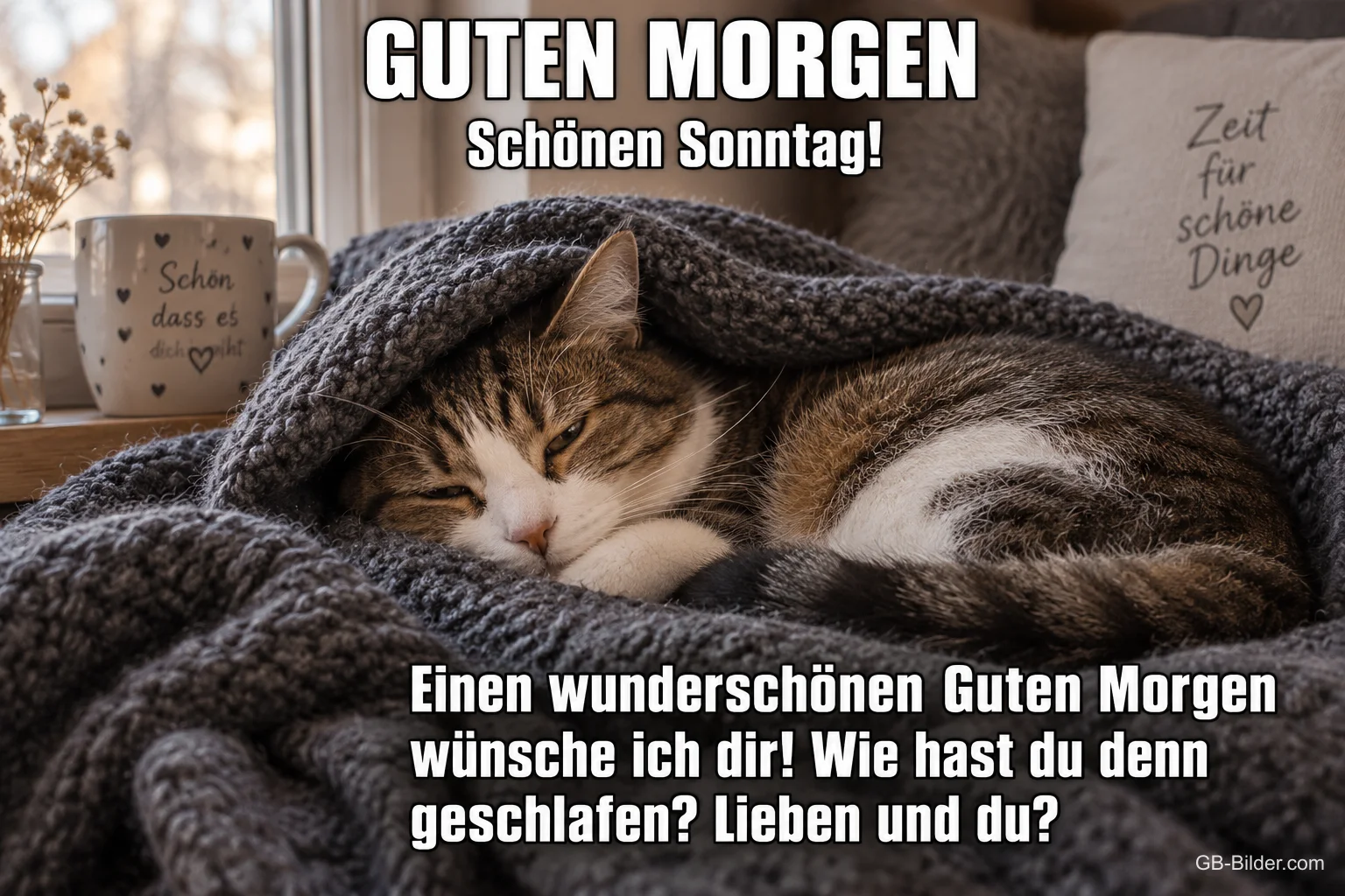 Katze schläft in grauer Strickdecke, Text: Guten Morgen – Schönen Sonntag! Wie hast du denn geschlafen? Katze schläft in grauer Strickdecke, Text: Guten Morgen – Schönen Sonntag! Wie hast du denn geschlafen?