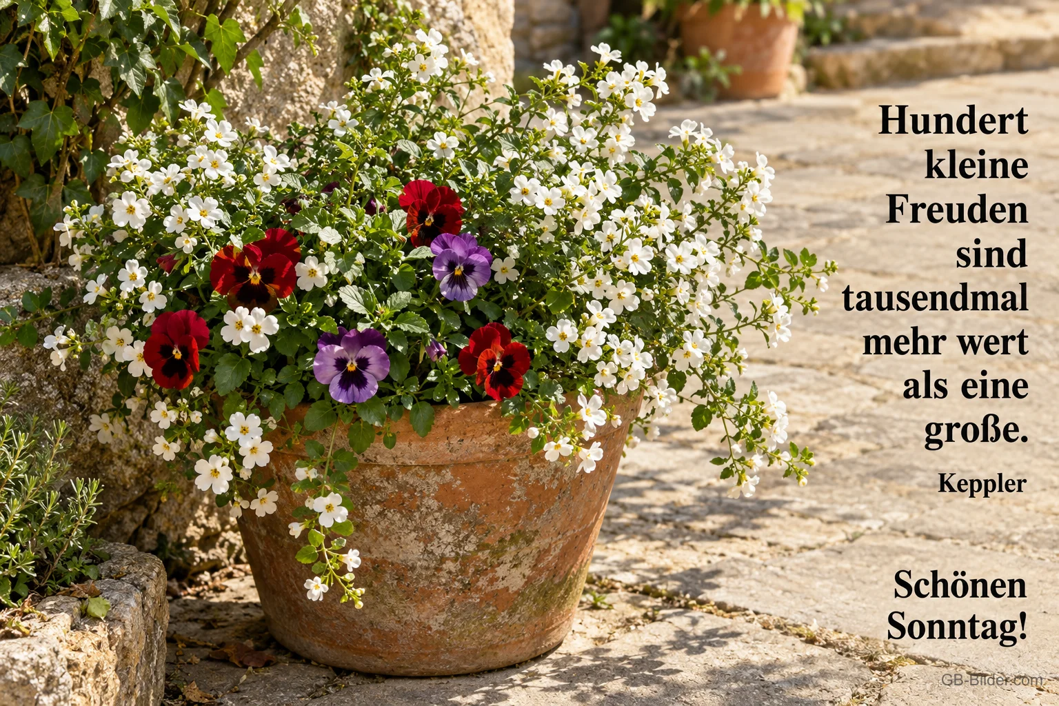 Blumentopf mit weißen Blüten und Stiefmütterchen, Zitat: Hundert kleine Freuden sind tausendmal mehr wert als eine große. Schönen Sonntag!