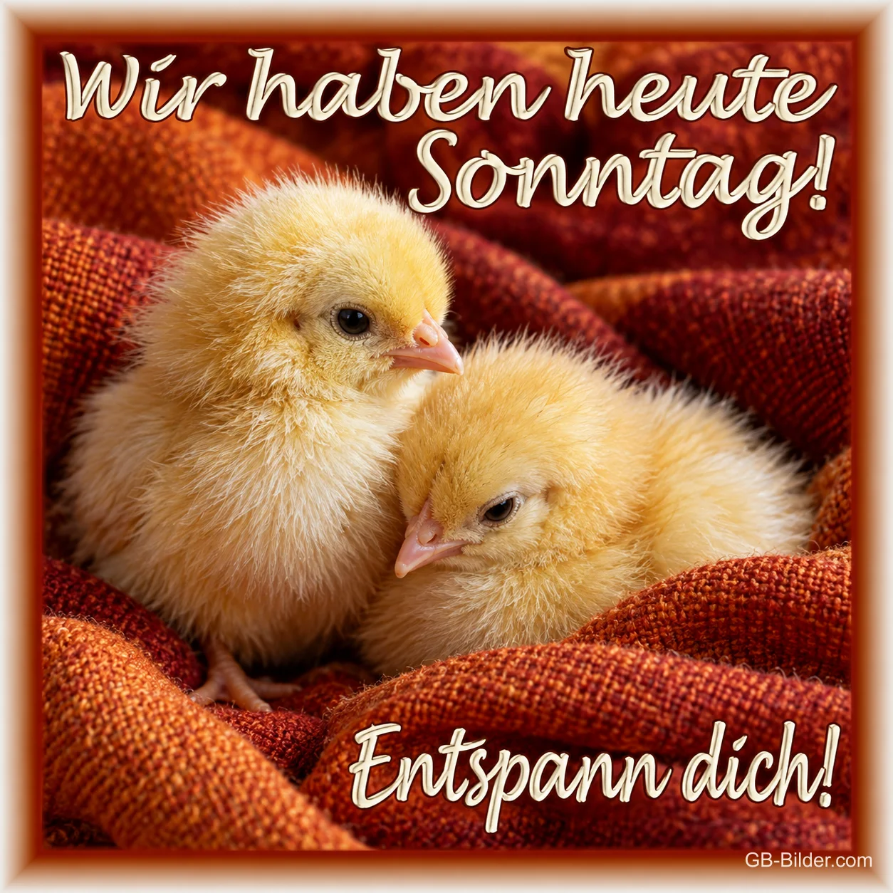 Zwei kuschelnde Küken, Text: Wir haben heute Sonntag! Entspann dich!